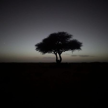 מלון מחמיד Mhamid Sahara Camp - Mhamid El Ghizlane מראה חיצוני תמונה